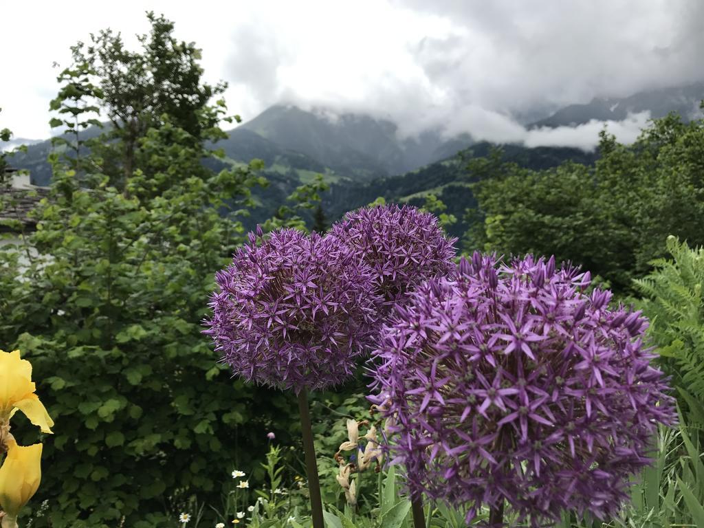 Ferienwohnung Laax Mit Traumblick, Grossem Balkon Und Terrasse 外观 照片